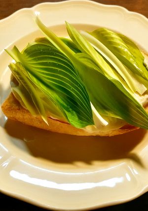色がきれい生のうるい＆ハムチーズトースト-レシピのメイン写真