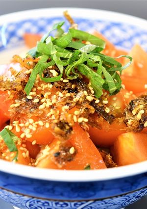 豆腐とトマト青じそのさっぱり丼-レシピのメイン写真