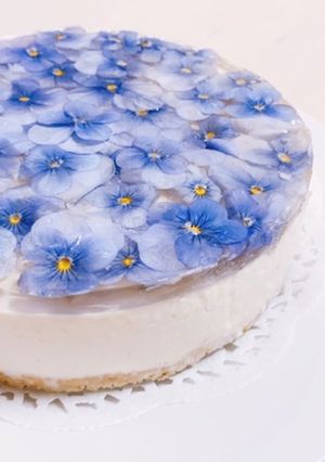 エディブルフラワーの低糖レアチーズケーキ-レシピのメイン写真