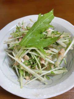 冷蔵庫にて忘れられた水菜シーチキンサラダ-レシピのメイン写真