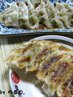 お肉たっぷり!羽つき焼き餃子-レシピのメイン写真