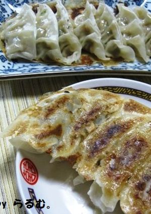 お肉たっぷり！羽つき焼き餃子-レシピのメイン写真