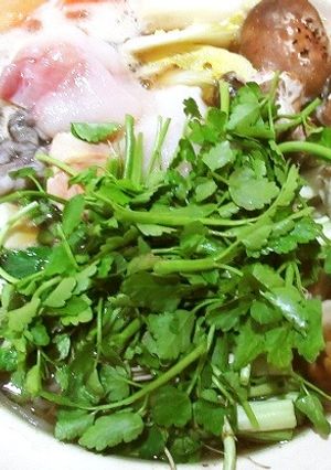 酒：醤油：本みりんが各１、アンコウ鍋を-レシピのメイン写真