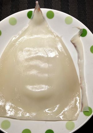 烏賊のおろし方-レシピのメイン写真