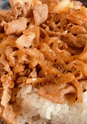 作りおき生姜焼き豚丼-レシピのメイン写真