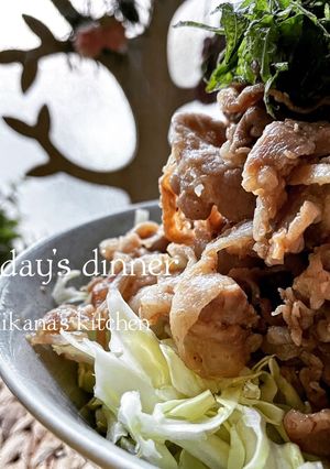 キャベツと大葉たっぷり♪♪味噌豚丼-レシピのメイン写真