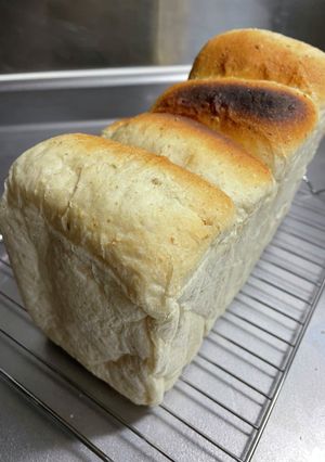 シンプル食パン♡オートミールたっぷり-レシピのメイン写真