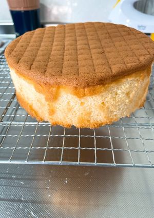 史上最高のジェノワーズ-レシピのメイン写真