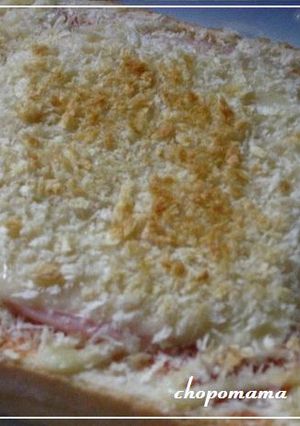 パン粉チーズ☆トースト・ホットサンド♫♬-レシピのメイン写真