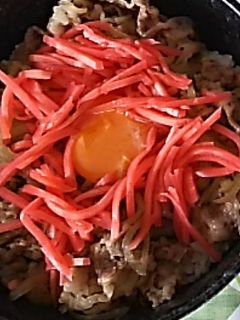 平凡牛丼です-レシピのメイン写真