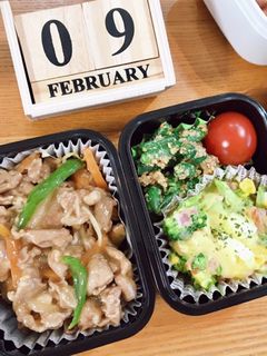 豚こまオイスター炒め弁当 22/2.9-レシピのメイン写真