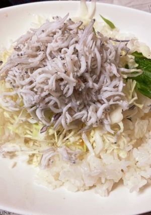 【一人暮らし】限界しらす丼-レシピのメイン写真