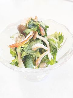 春菊サラダ❷-レシピのメイン写真