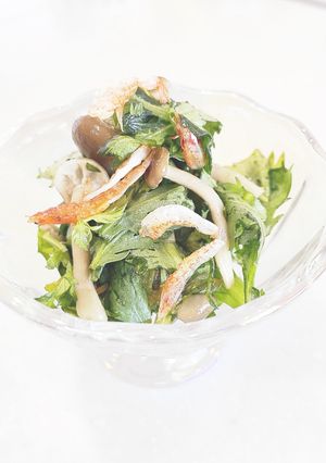 春菊サラダ❷-レシピのメイン写真