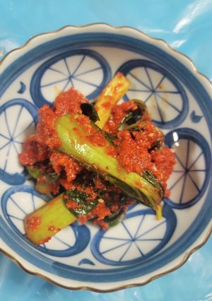 チンゲン菜キムチ-レシピのメイン写真