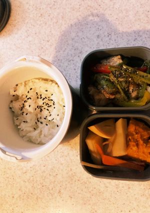 小松菜と鶏肉の胡麻炒め煮高校生男子弁当-レシピのメイン写真
