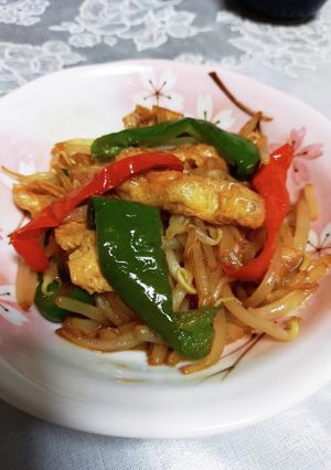 油揚げ・もやし・ﾋﾟｰﾏﾝの青椒肉絲風-レシピのメイン写真