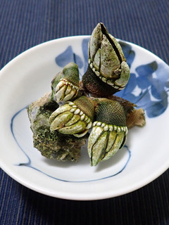 カメノテの塩茹で-レシピのメイン写真
