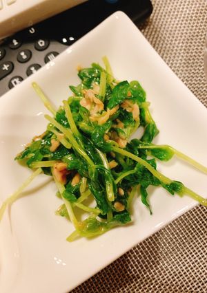 豆苗とツナのごまマヨサラダ-レシピのメイン写真