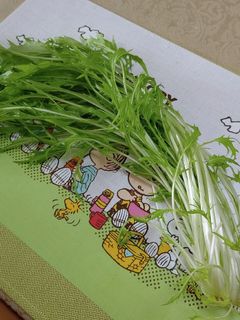 水菜・セロリを新鮮に持たせる方法♬-レシピのメイン写真