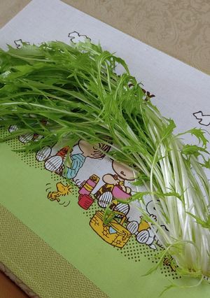 水菜・セロリを新鮮に持たせる方法♬-レシピのメイン写真