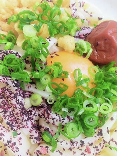 ゆかりの釜たま梅うどん-レシピのメイン写真