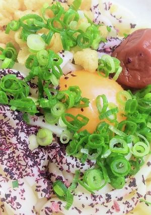 ゆかりの釜たま梅うどん-レシピのメイン写真
