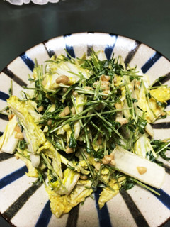 白菜と豆苗のサラダ-レシピのメイン写真