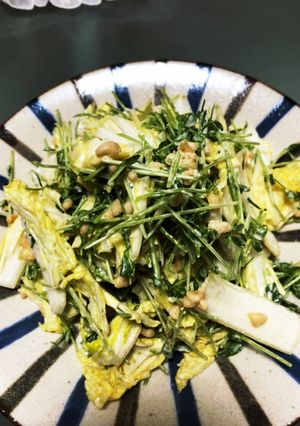 白菜と豆苗のサラダ-レシピのメイン写真