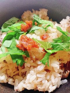 サバ缶と梅干しの炊き込みご飯-レシピのメイン写真