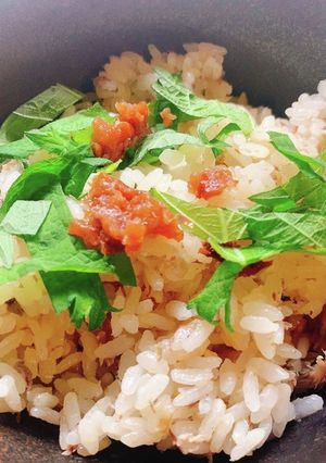 サバ缶と梅干しの炊き込みご飯-レシピのメイン写真