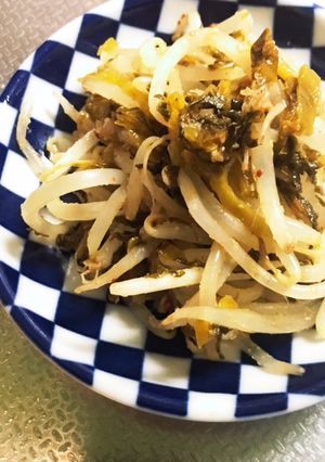 ピリ辛高菜ともやしのナムル-レシピのメイン写真