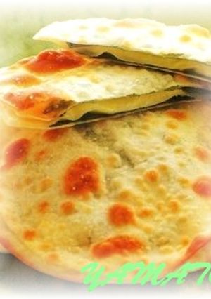 残った餃子の皮でチーズとシソをサンド^^-レシピのメイン写真