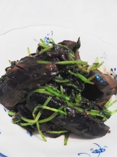 焼きナスと豆苗の味噌ゴマ和え-レシピのメイン写真