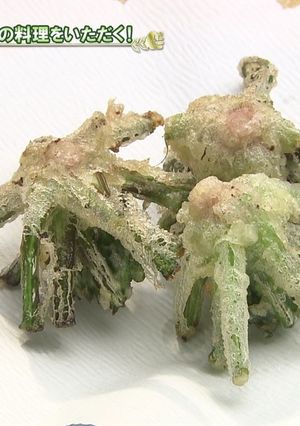名寄市　寒締めほうれん草②根元の天ぷら-レシピのメイン写真