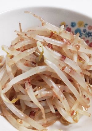 もやしのおかか和え-レシピのメイン写真