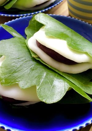 レンジで柏餅-レシピのメイン写真