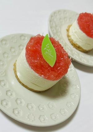 ピンクグレープフルーツのレアチーズケーキ-レシピのメイン写真