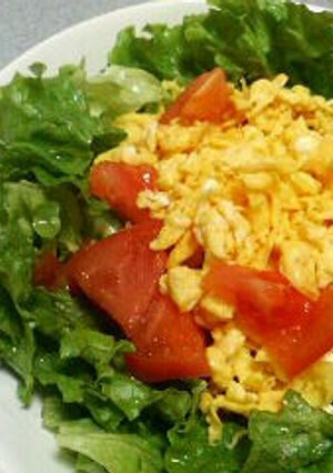 味付けは醤油だけ☆炒り卵サラダ-レシピのメイン写真