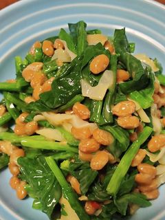 ほうれん草と納豆とメンマあえ-レシピのメイン写真