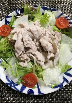お肉を使った大根サラダ-レシピのメイン写真