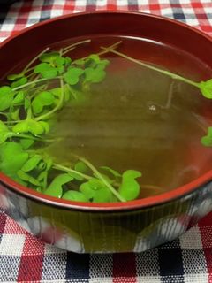 とろろ昆布とカイワレ大根のお吸い物-レシピのメイン写真