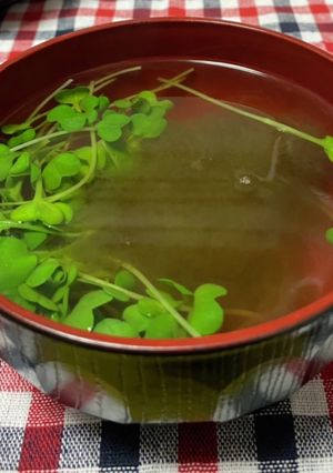 とろろ昆布とカイワレ大根のお吸い物-レシピのメイン写真