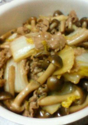 牛肉と白菜のオイスター煮-レシピのメイン写真