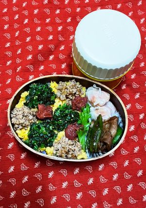 2/15 そぼろ弁当-レシピのメイン写真