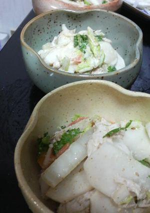 手作りの風味☆白菜と鶏の胡麻マヨあえ-レシピのメイン写真
