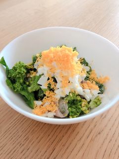 菜の花の春サラダ-レシピのメイン写真