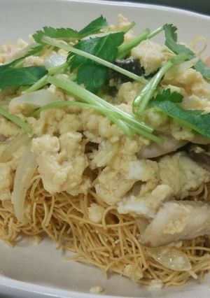 秋の親子とじ風皿うどん-レシピのメイン写真