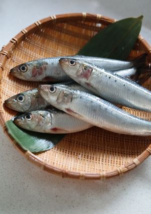 【基本】いわしのさばき方・煮付け用-レシピのメイン写真