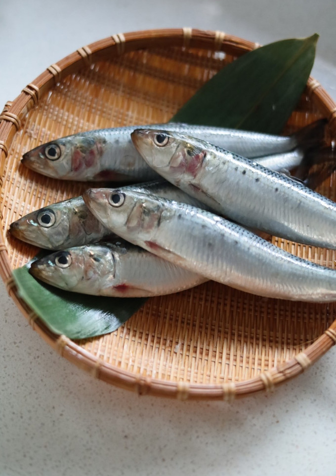 【基本】いわしのさばき方・煮付け用-レシピのメイン写真